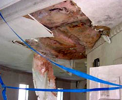 Condensation and humidity caused structural failure to pool room ceiling